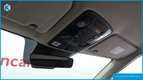 KIA CARNIVAL GASOLINE 9-SEATER HI-LIMOUSINE