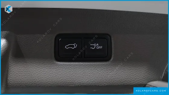 KIA CARNIVAL GASOLINE 9-SEATER HI-LIMOUSINE