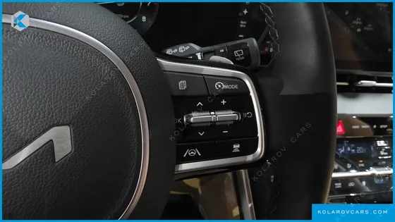 KIA CARNIVAL GASOLINE 9-SEATER SIGNATURE