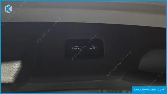 KIA CARNIVAL GASOLINE 9-SEATER HI-LIMOUSINE