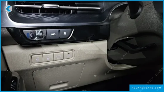 KIA CARNIVAL GASOLINE 9-SEATER HI-LIMOUSINE