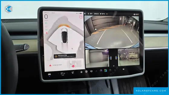 TESLA MODEL Y RWD