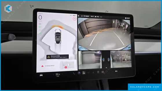TESLA MODEL Y RWD