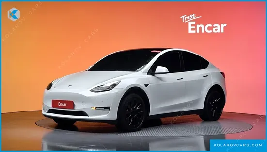 TESLA MODEL Y LONG RANGE AWD