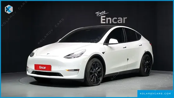 TESLA MODEL Y LONG RANGE AWD
