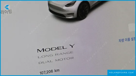 TESLA MODEL Y LONG RANGE AWD