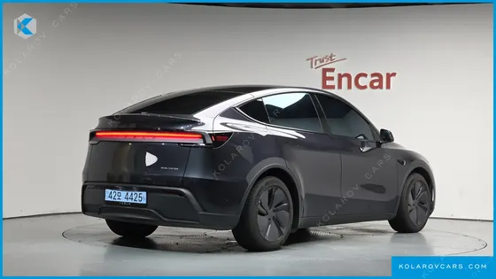 TESLA MODEL Y LONG RANGE AWD
