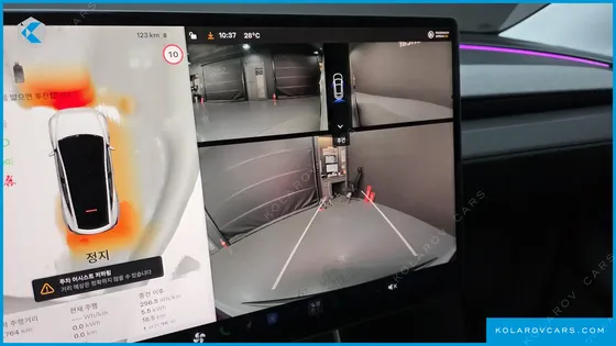 TESLA MODEL Y RWD
