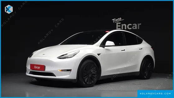 TESLA MODEL Y LONG RANGE AWD