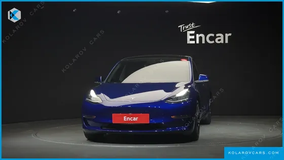 TESLA MODEL 3 STANDARD RANGE PLUE RWD