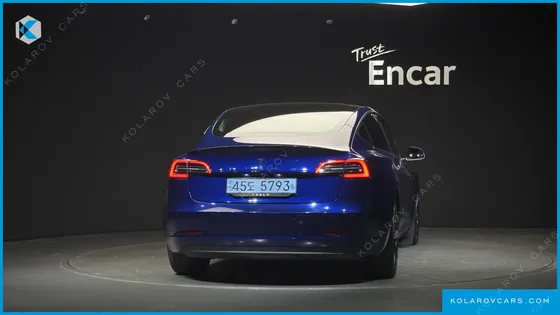TESLA MODEL 3 STANDARD RANGE PLUE RWD