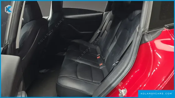 TESLA MODEL 3 STANDARD RANGE PLUE RWD