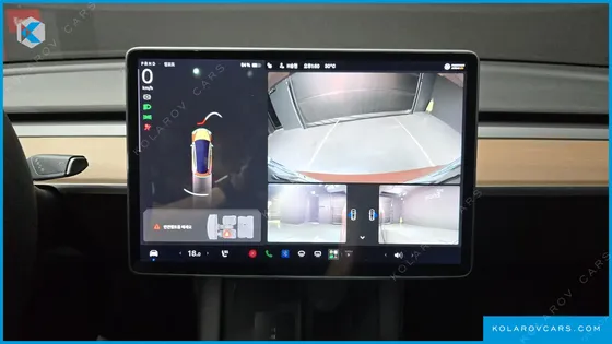 TESLA MODEL 3 STANDARD RANGE PLUE RWD