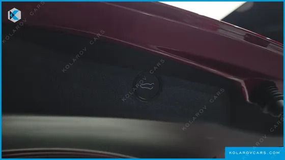 TESLA MODEL 3 STANDARD RANGE PLUE RWD