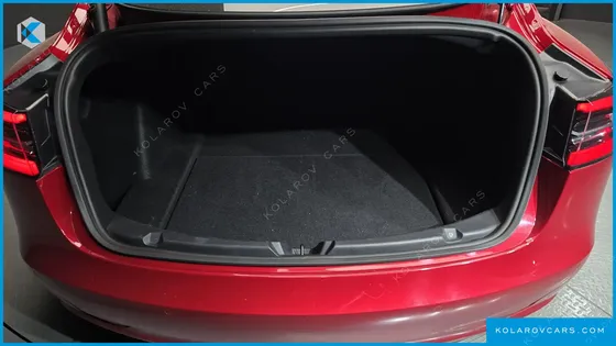 TESLA MODEL 3 STANDARD RANGE PLUE RWD