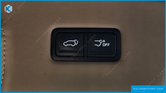 KIA CARNIVAL DIESEL 9-SEATER HI-LIMOUSINE(SPECIAL VEHICLE)