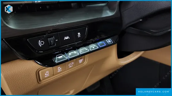 KIA CARNIVAL DIESEL 9-SEATER HI-LIMOUSINE(SPECIAL VEHICLE)