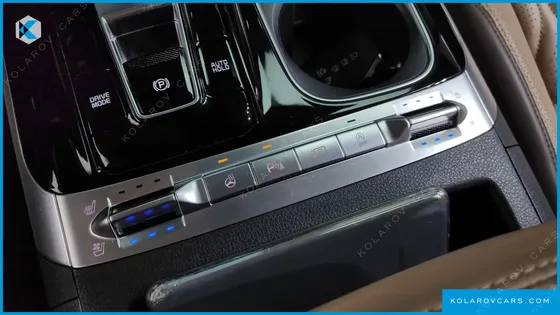 KIA CARNIVAL DIESEL 9-SEATER HI-LIMOUSINE(SPECIAL VEHICLE)