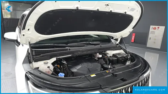 KIA CARNIVAL DIESEL 9-SEATER PRESTIGE