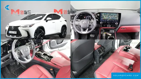 LEXUS NX PREMIUM