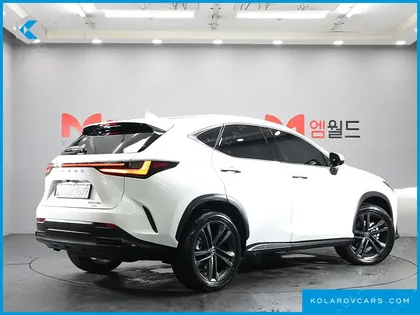 LEXUS NX PREMIUM