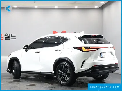 LEXUS NX PREMIUM