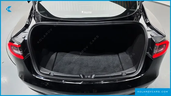 TESLA MODEL 3 STANDARD RANGE PLUE RWD
