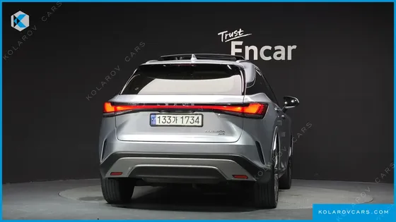LEXUS RX LUXURY