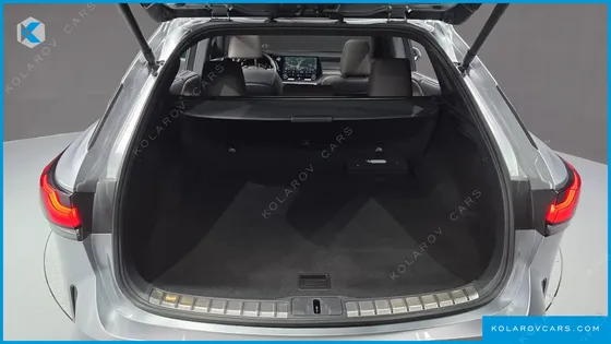 LEXUS RX LUXURY