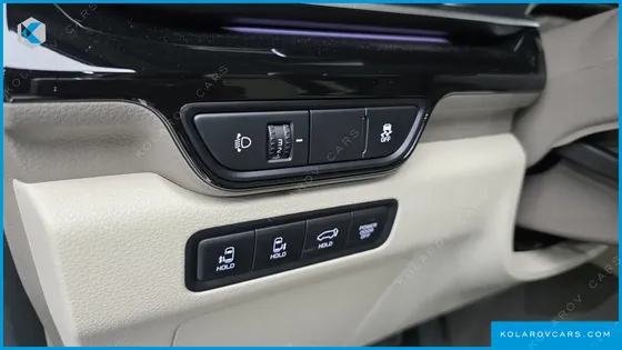 KIA CARNIVAL GASOLINE 9-SEATER HI LIMOUSINE