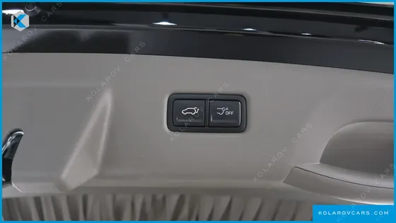 KIA CARNIVAL GASOLINE 9-SEATER HI LIMOUSINE