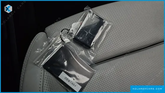 POLESTAR POLESTAR 4 LONG RANGE DUEL MOTER
