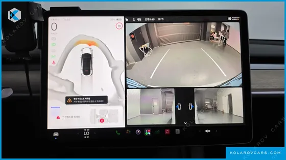 TESLA MODEL Y RWD