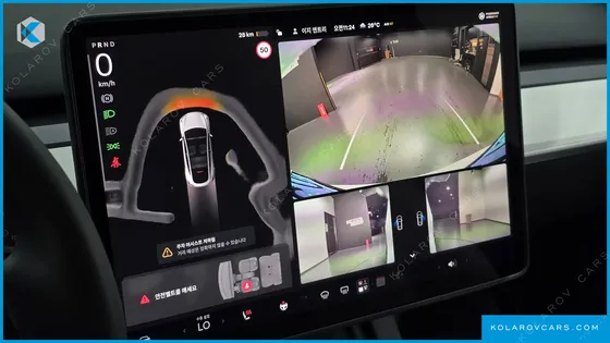 TESLA MODEL Y RWD