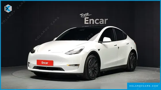TESLA MODEL Y LONG RANGE AWD