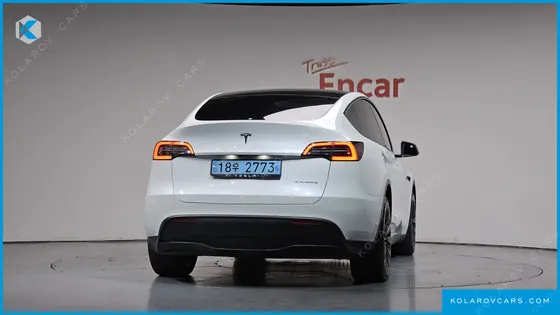 TESLA MODEL Y LONG RANGE AWD
