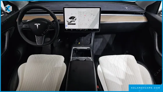 TESLA MODEL Y LONG RANGE AWD