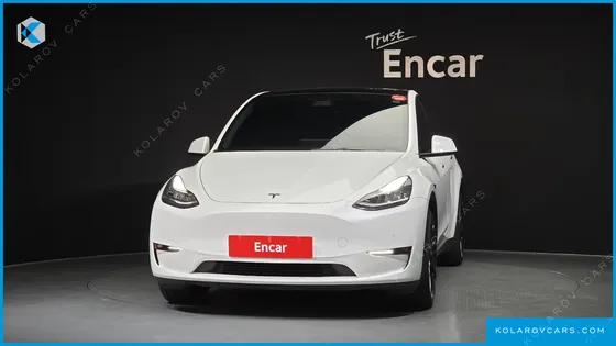 TESLA MODEL Y LONG RANGE AWD
