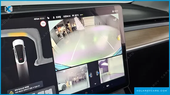 TESLA MODEL Y RWD