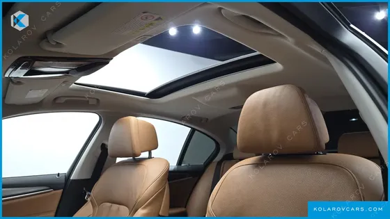 BMW 5 SERIES 530E LUXURY