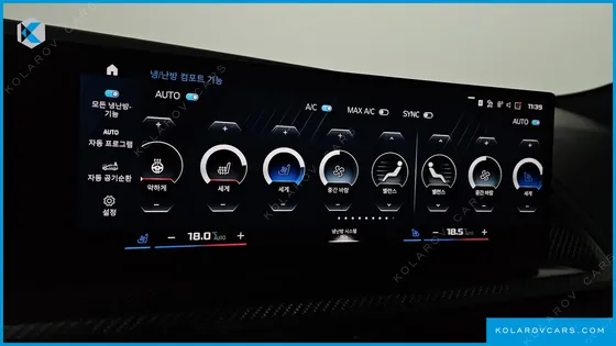 BMW XM 4.4