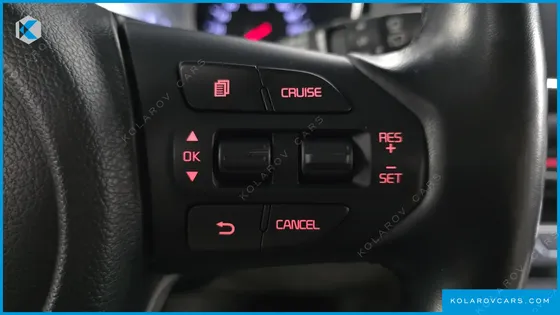 KIA CARNIVAL 9-SEATER LUXURY