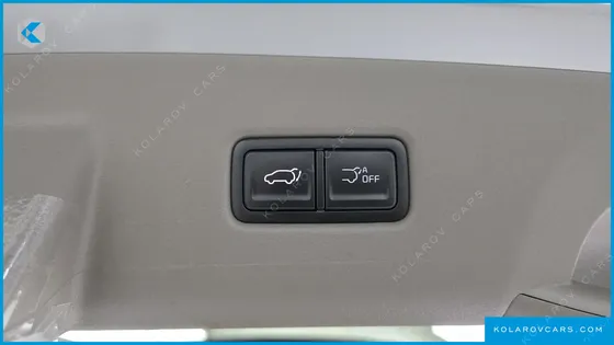 KIA CARNIVAL GASOLINE 9-SEATER GRAVITY