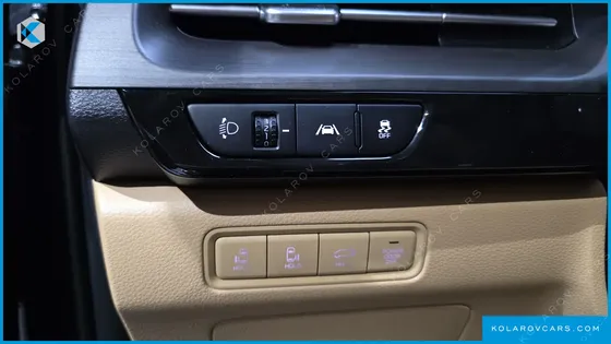 KIA CARNIVAL GASOLINE 9-SEATER SIGNATURE