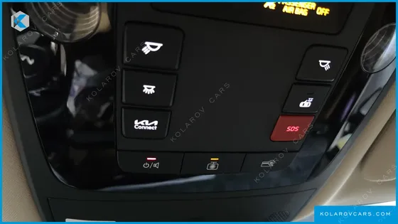 KIA CARNIVAL GASOLINE 9-SEATER SIGNATURE