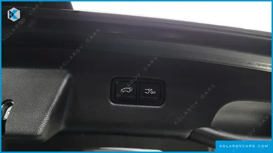 KIA CARNIVAL GASOLINE 9-SEATER SIGNATURE