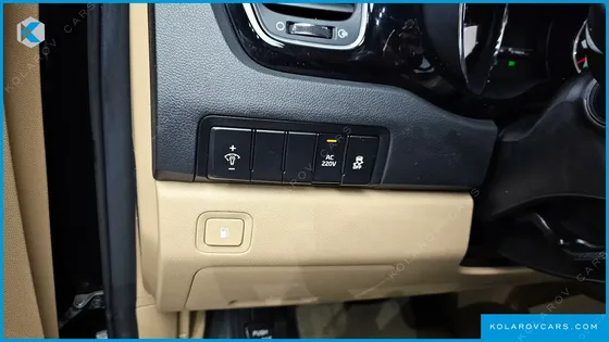 KIA CARNIVAL 9-SEATER NOBLESSE