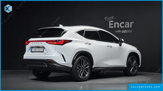 LEXUS NX LUXURY