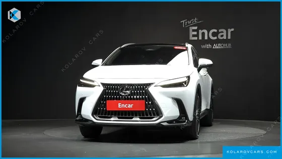 LEXUS NX LUXURY