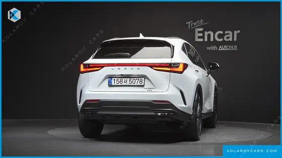 LEXUS NX LUXURY